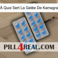 À Quoi Sert La Gelée De Kamagra 23
